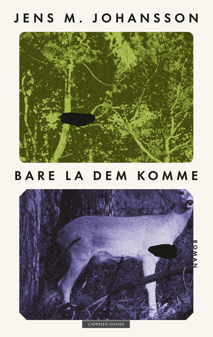 Bare la dem komme: roman