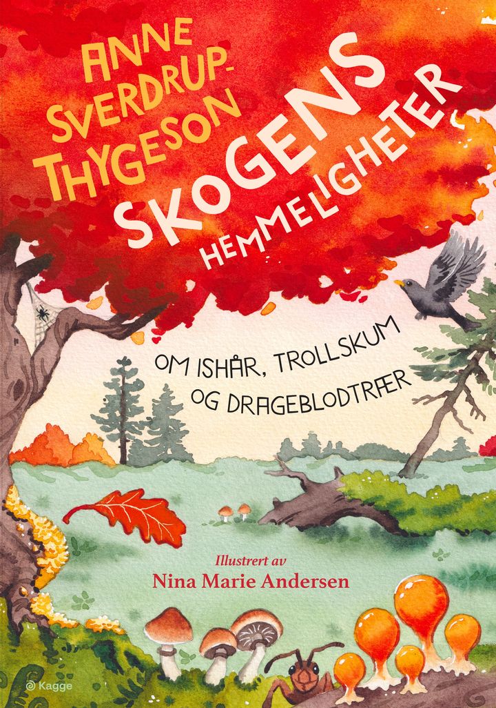 Skogens hemmeligheter: om ishår, trollskum og drageblodtrær