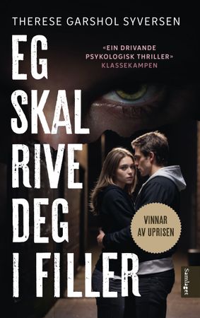 Eg skal rive deg i filler