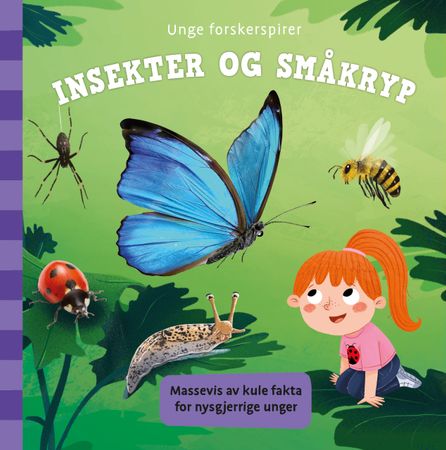 Omslag: Insekter og småkryp av Ruth Redford