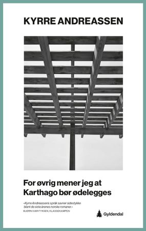 For øvrig mener jeg at Karthago bør ødelegges: roman