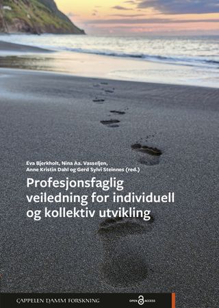 Profesjonsfaglig veiledning for individuell og kollektiv utvikling