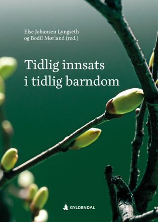 Omslag: Tidlig innsats i tidlig barndom av Else Johansen Lyngseth