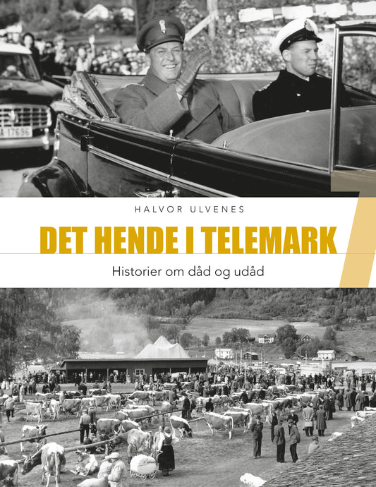 Det hende i Telemark 7