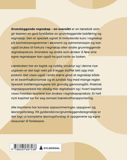 Grunnleggende regnskap - en oversikt