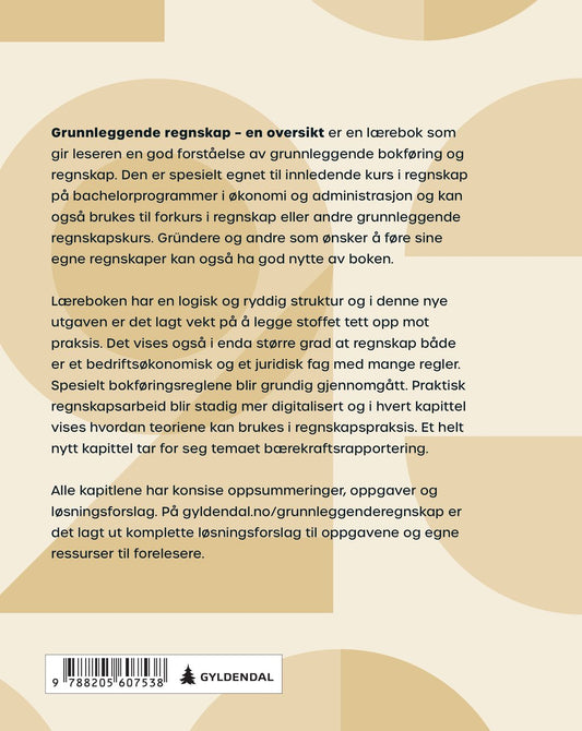 Grunnleggende regnskap - en oversikt