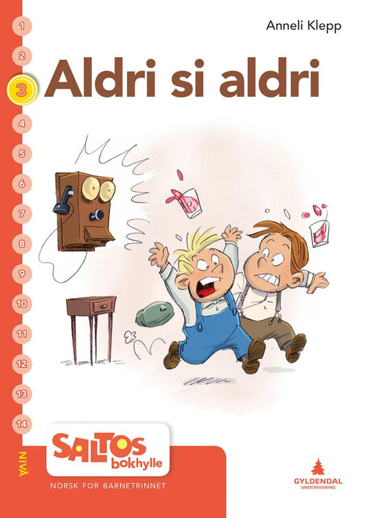 Aldri sei aldri