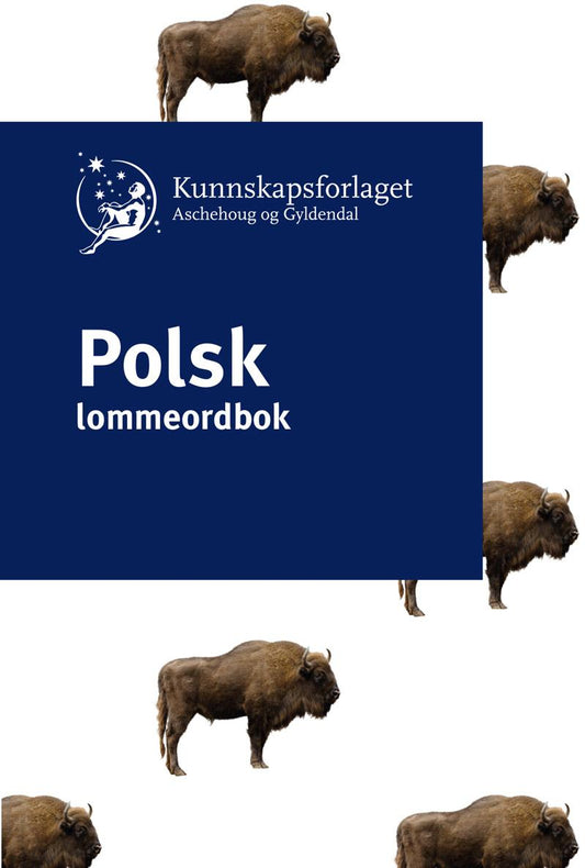 Polsk lommeordbok