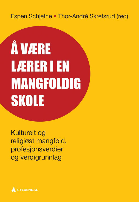 Å være lærer i en mangfoldig skole