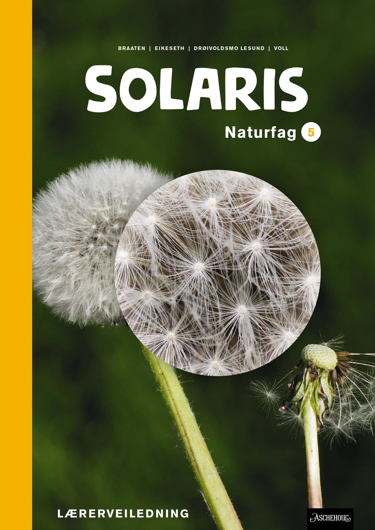 Solaris