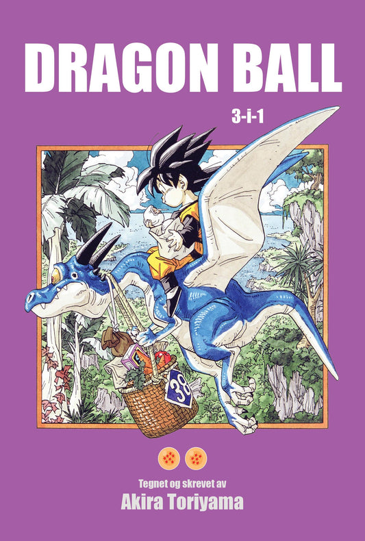 Dragon ball 13