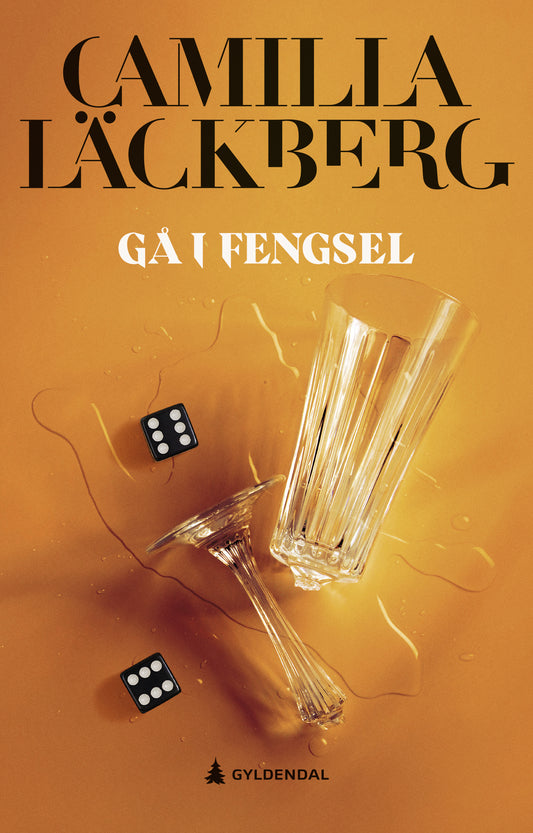 Gå i fengsel