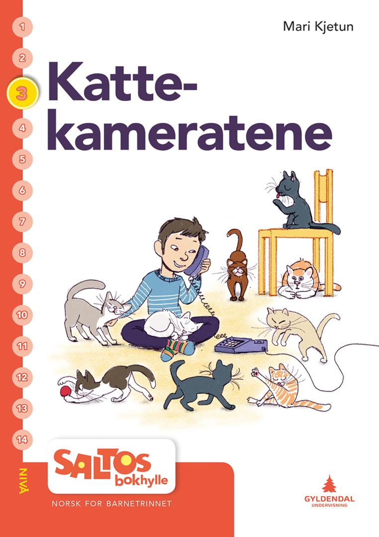 Kattekameratene