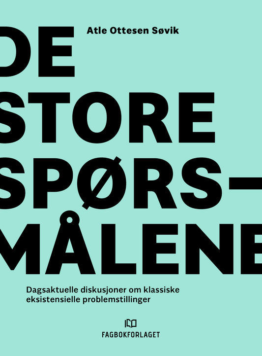 De store spørsmålene