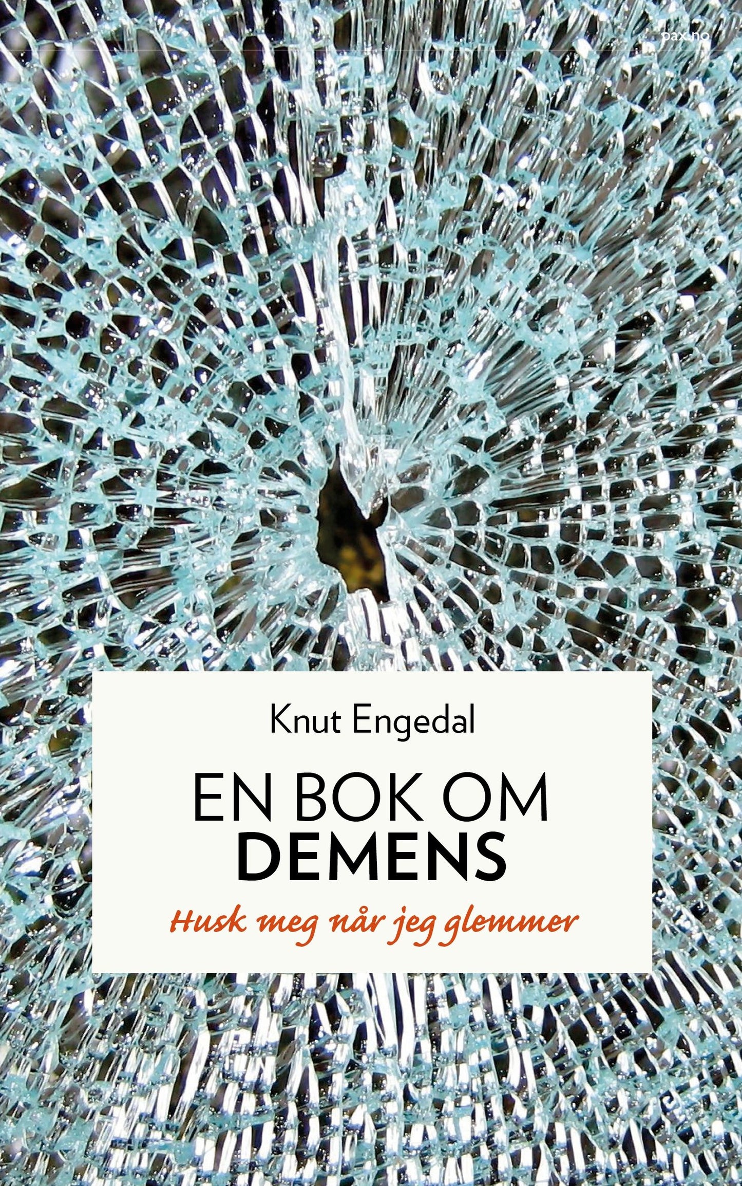 En bok om demens