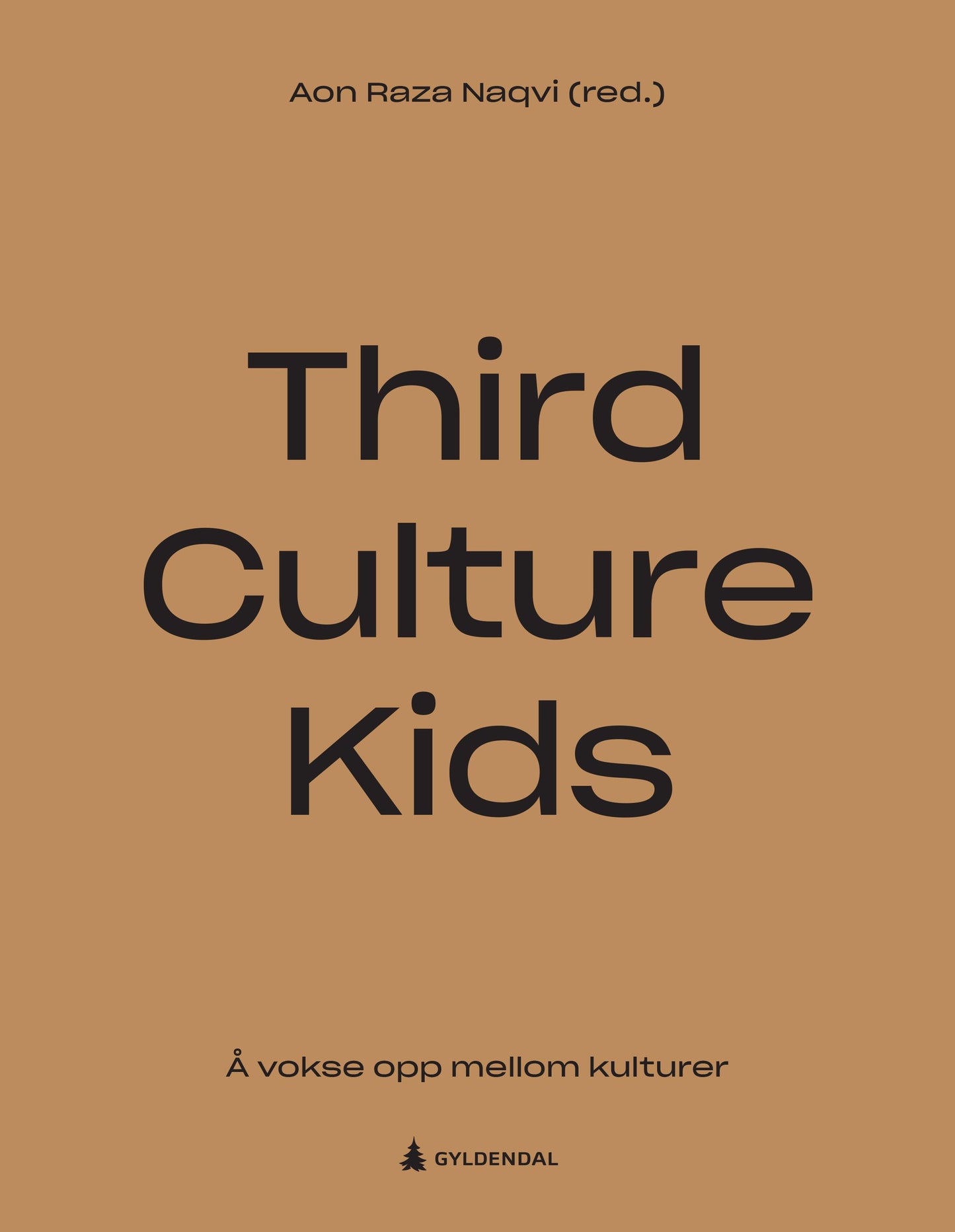 Third culture kids