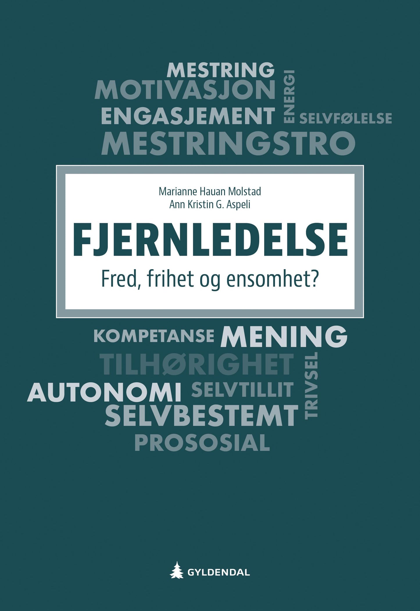 Fjernledelse