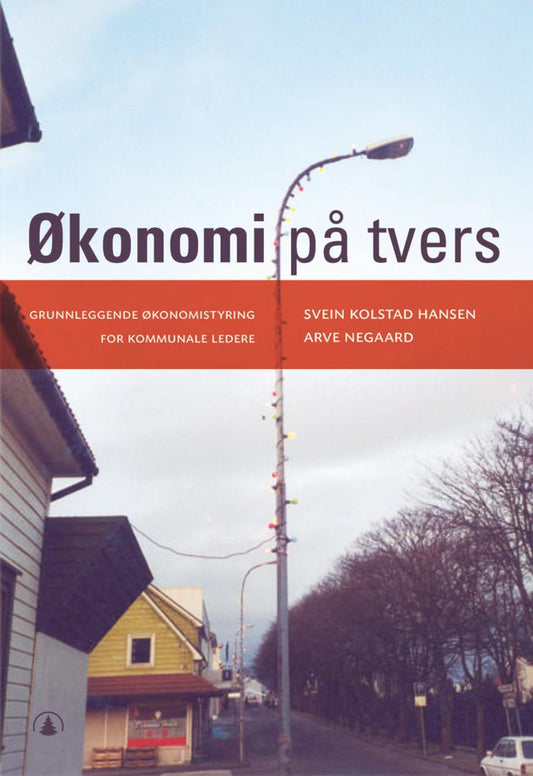 Økonomi på tvers