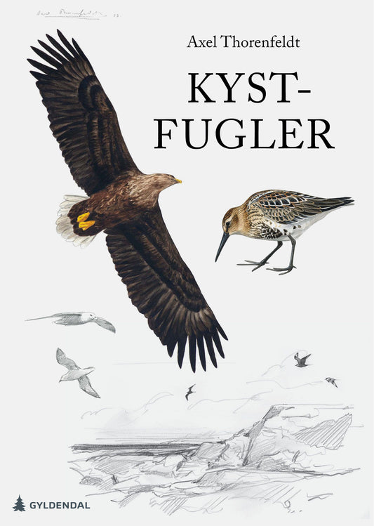 Kystfugler