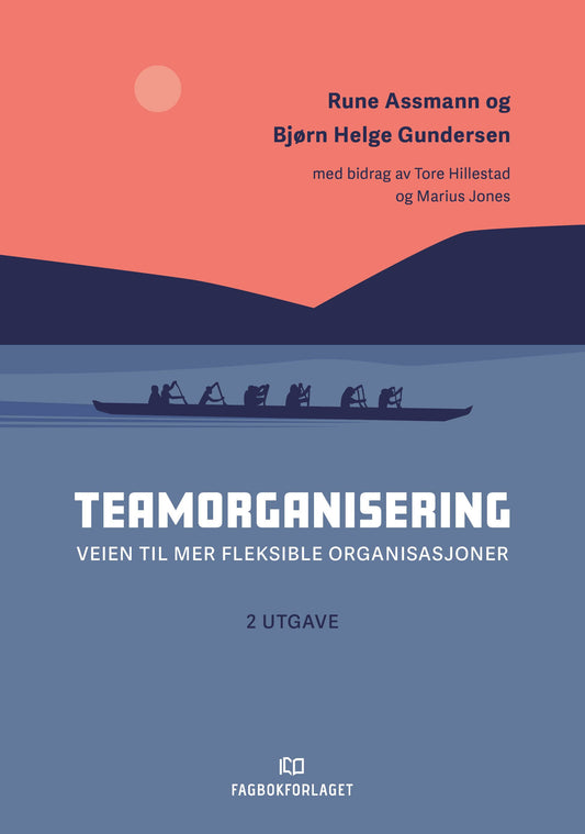 Teamorganisering