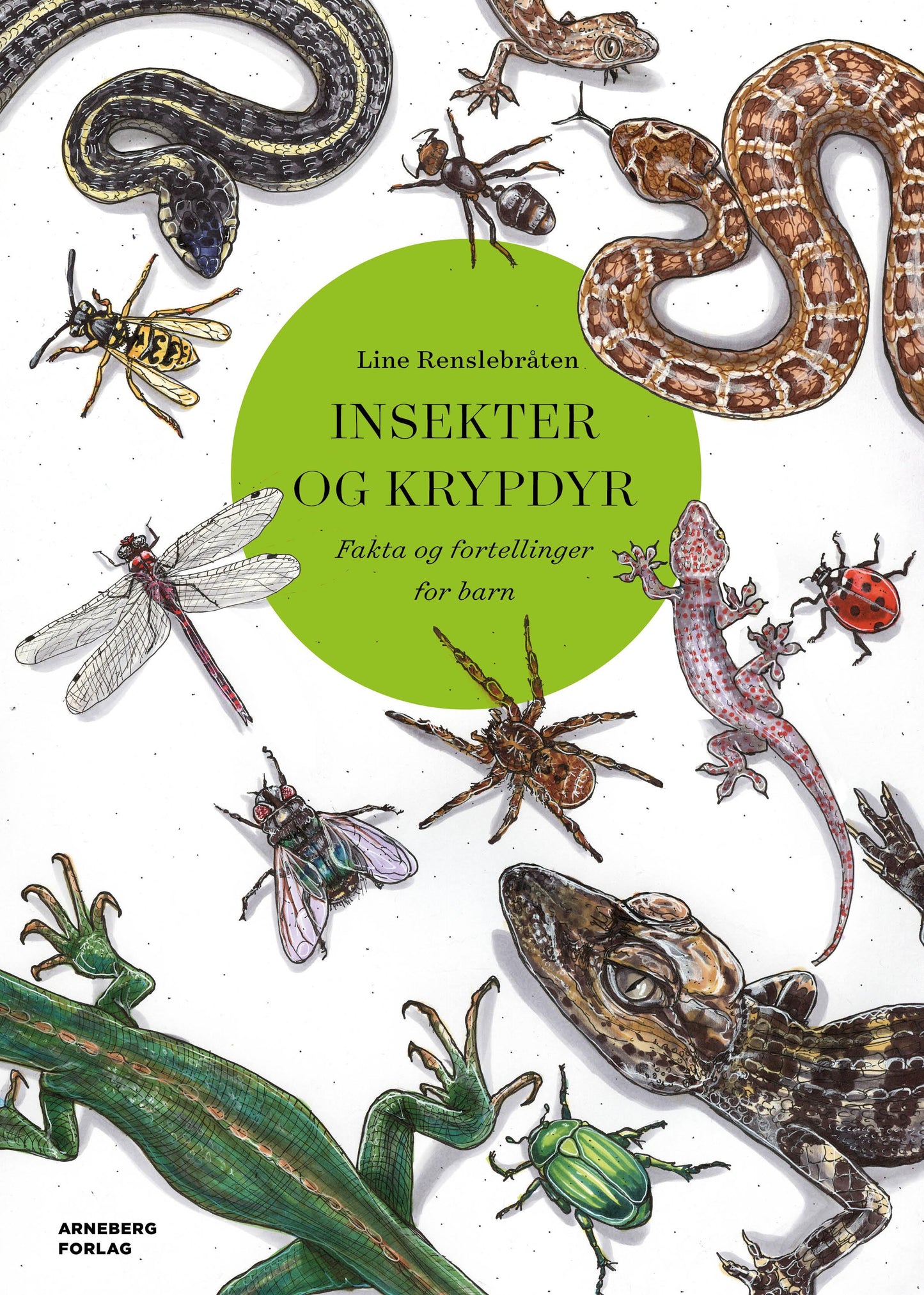 Insekter og krypdyr