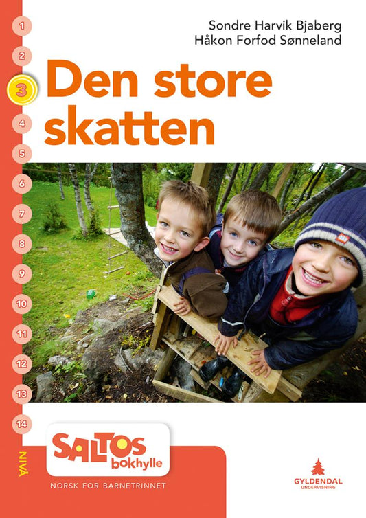 Den store skatten