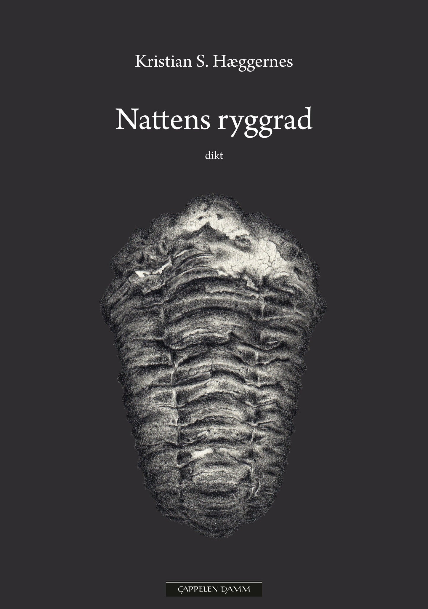 Nattens ryggrad