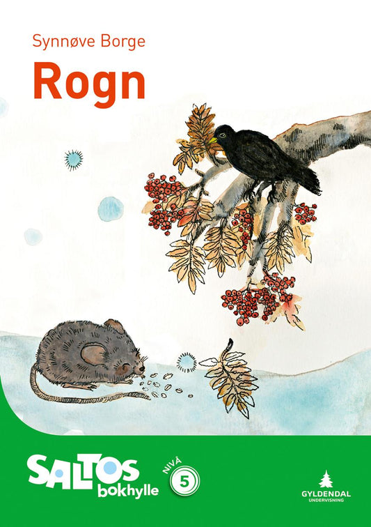 Rogn