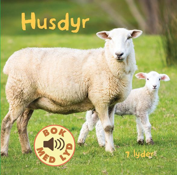 Husdyr