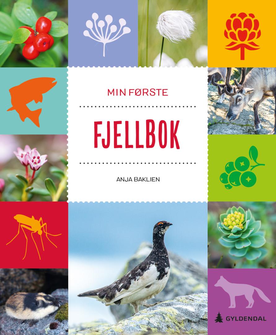 Min første fjellbok