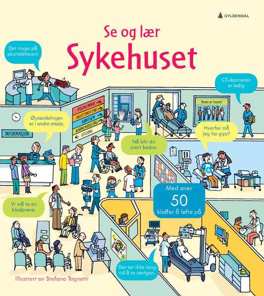 Sykehuset