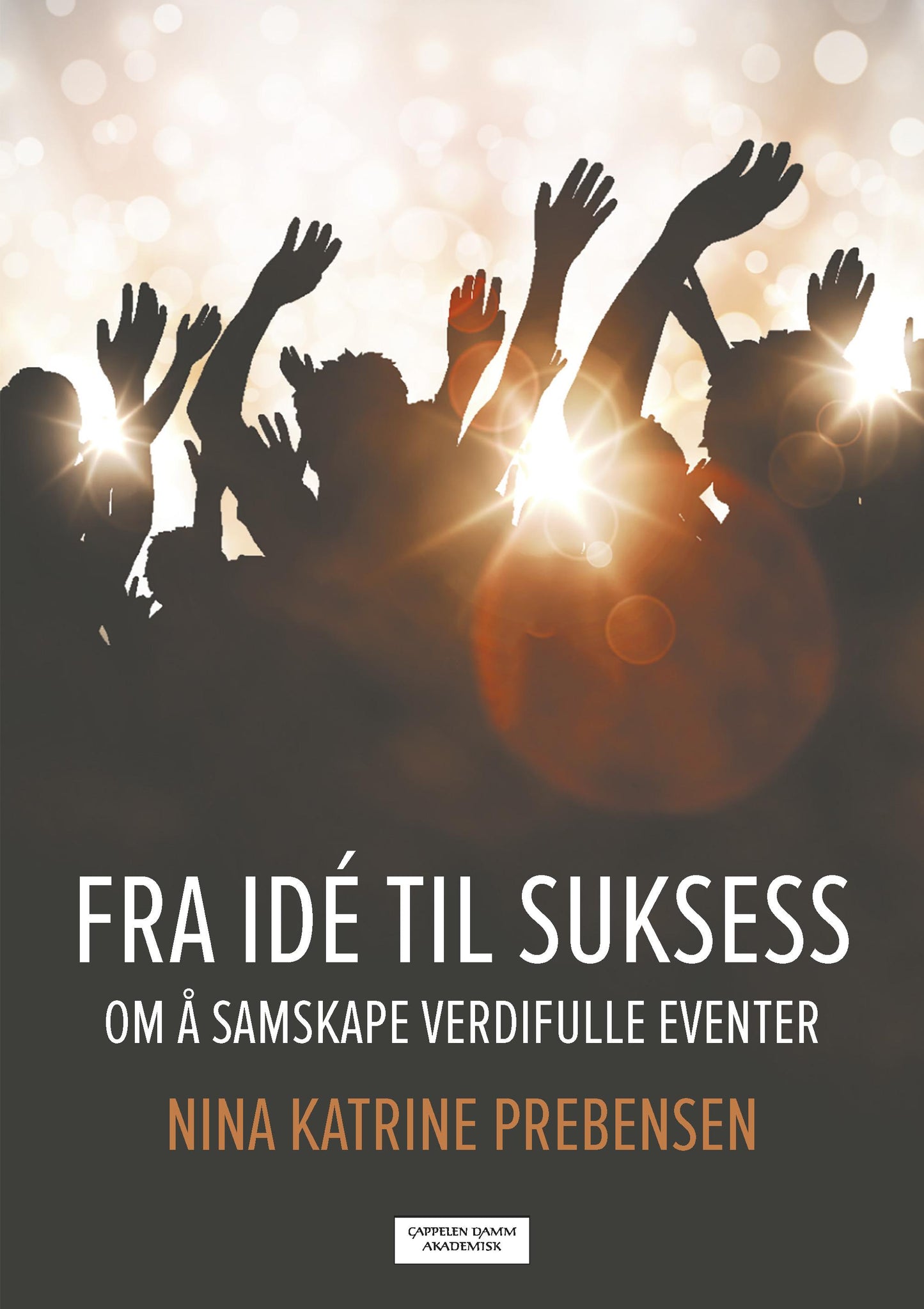 Fra idé til suksess