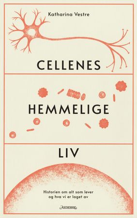 Omslag: Cellenes hemmelige liv av Katharina Vestre