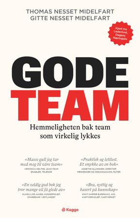 Omslag: Gode team av Gitte Nesset Midelfart