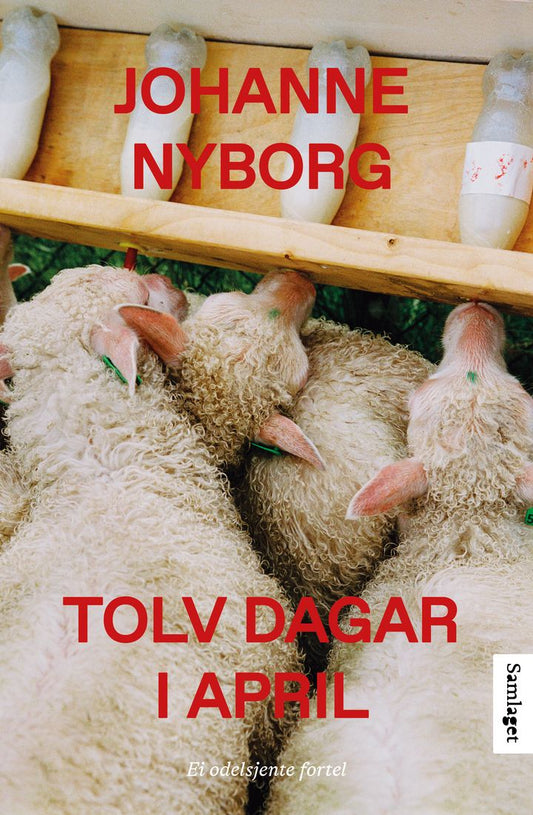 Omslag: Tolv dagar i april av Johanne Nyborg