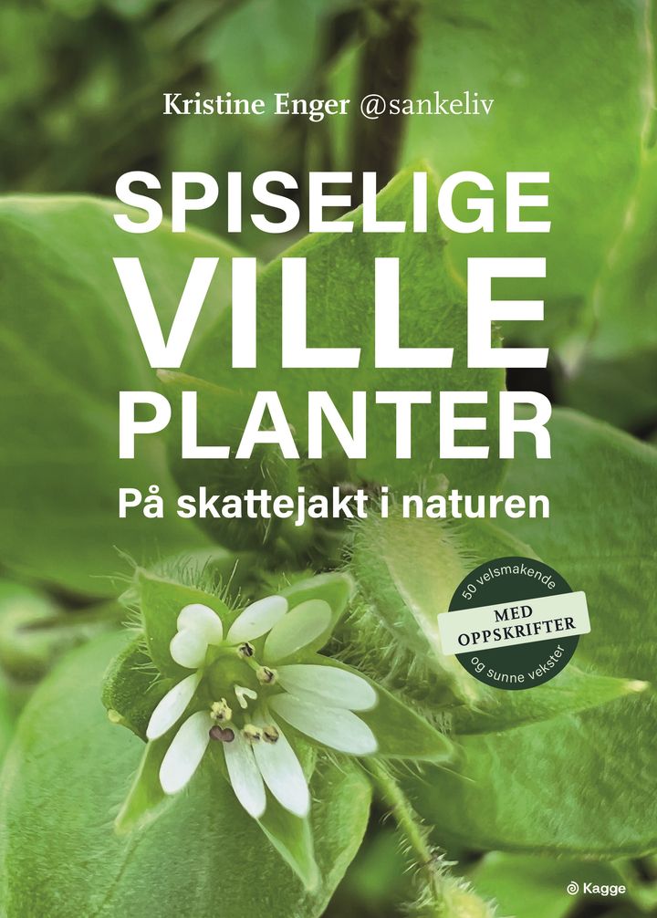 Spiselige ville planter på skattejakt i naturen; 50 velsmakende og sunne vekster – med oppskrifter