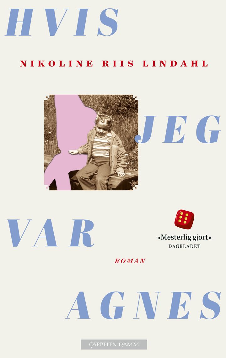 Hvis jeg var Agnes: roman