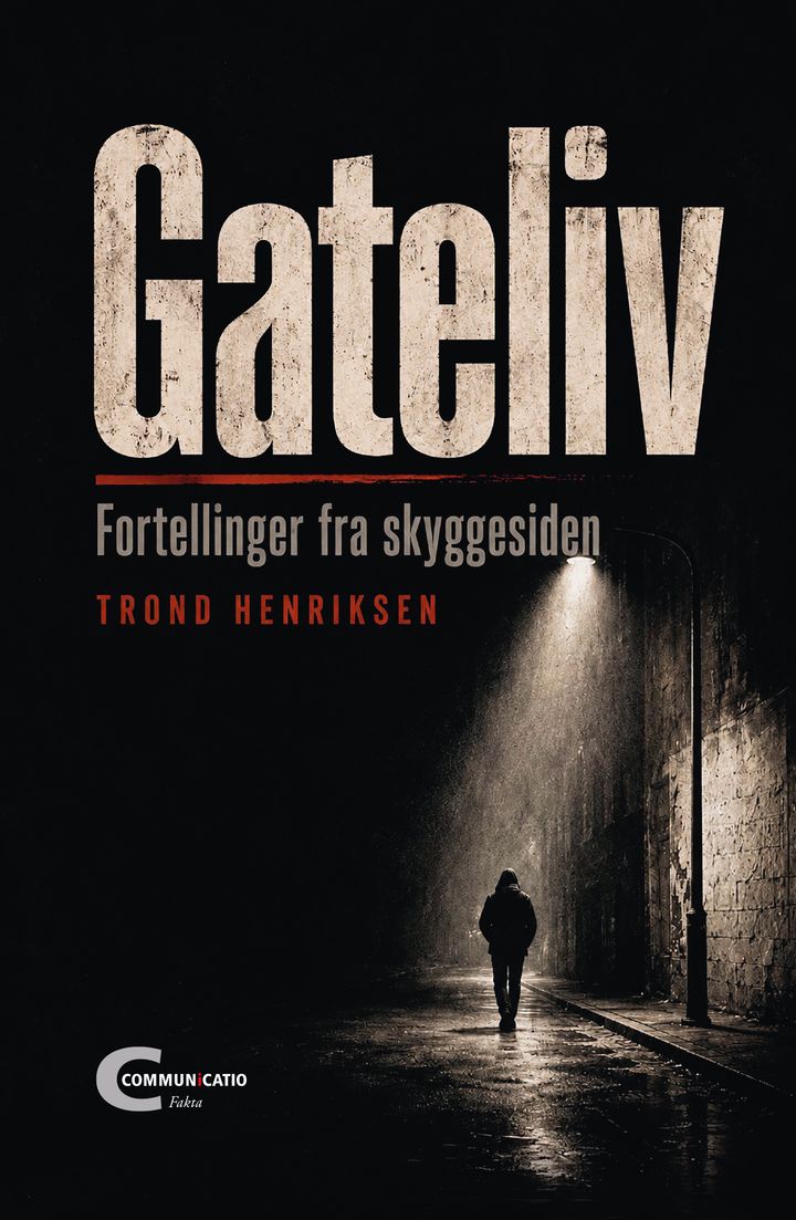 Gateliv: fortellinger fra skyggesiden
