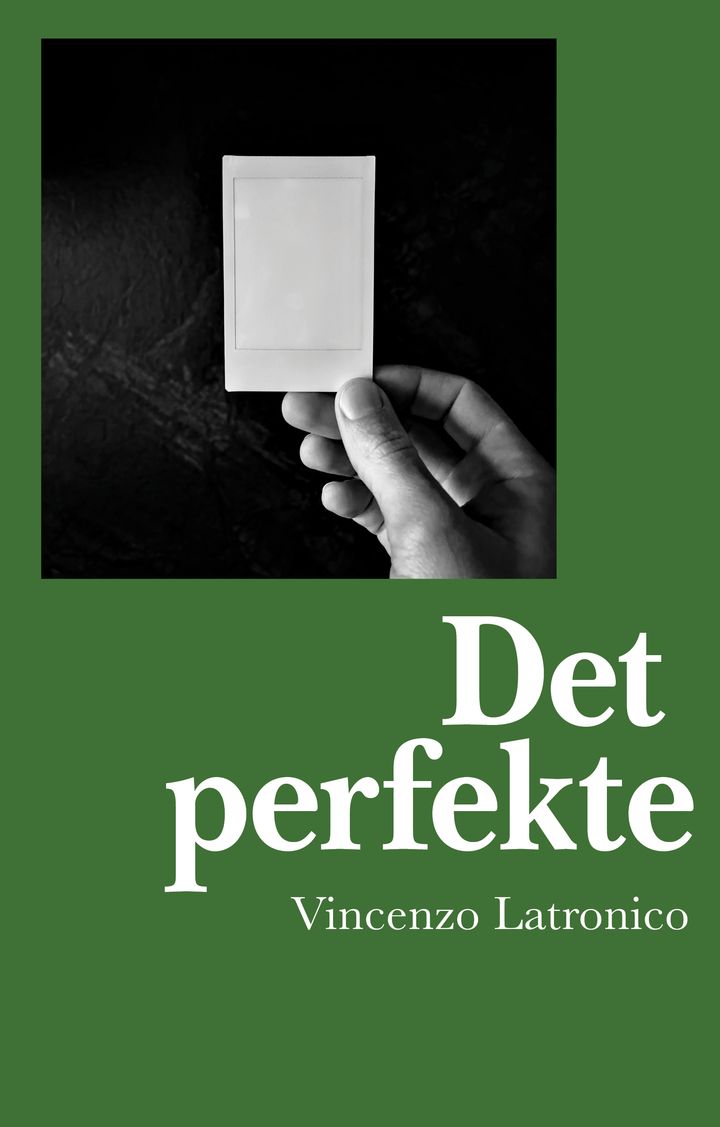 Det perfekte: roman