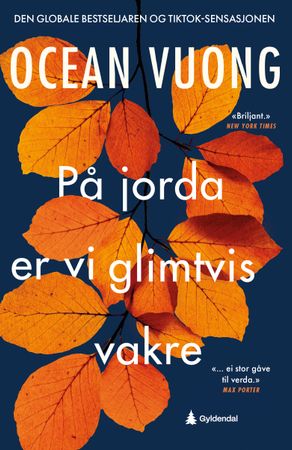 På jorda er vi glimtvis vakre