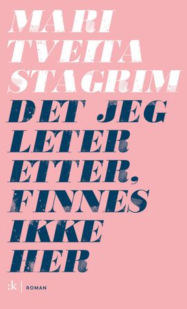 Det jeg leter etter, finnes ikke her