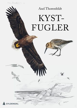 Omslag: Kystfugler av Axel Emil Thorenfeldt
