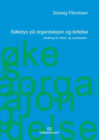 Søkelys på organisasjon og ledelse