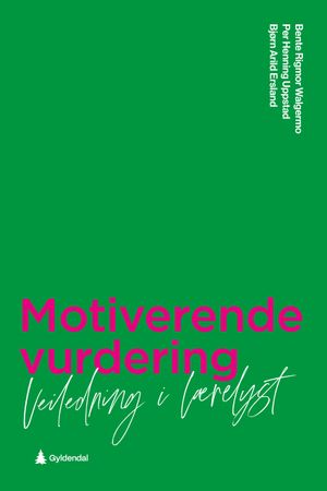 Motiverende vurdering