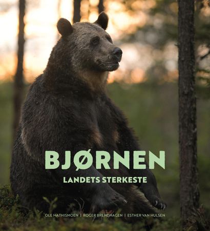 Bjørnen