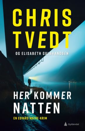 Her kommer natten