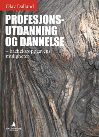 Profesjonsutdanning og dannelse