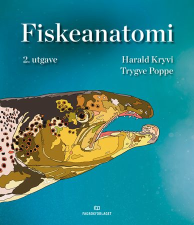 Fiskeanatomi