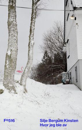 Omslag: Hvor jeg ble av av Silje Bergum Kinsten