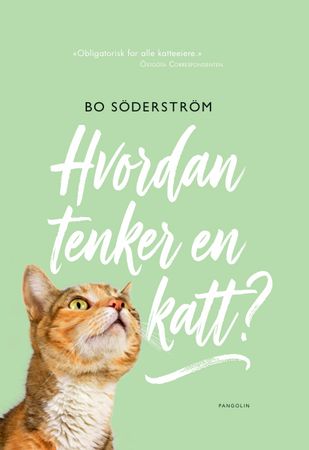 Hvordan tenker en katt?